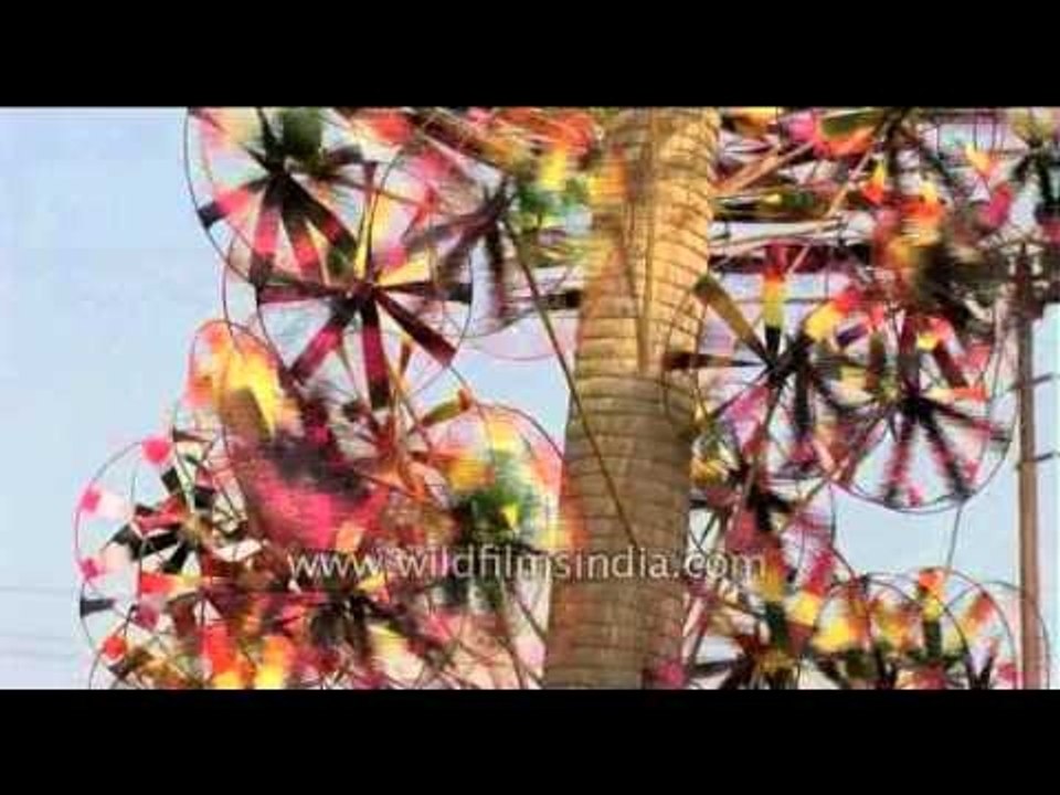Colourful paper windmills !