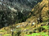 View of Jatoli village of Uttarakhand