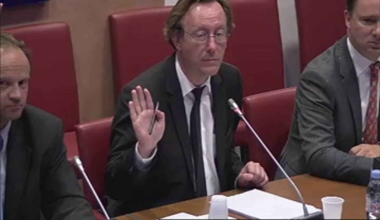 Mission d'information sur les emplois d'avenir (4)