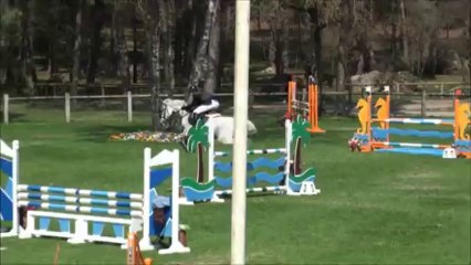 Ironie des Genets BIP 2013 As Poney 2D