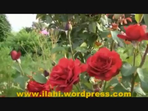 İlahi - Yâ Nebi özledim yine - Mesut Çelik - Müziksiz İlahi