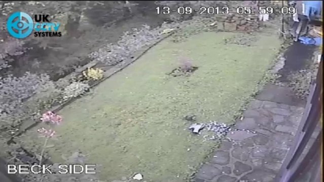 CCTV Video Surveillance | Hawk chases bird into window and attacks