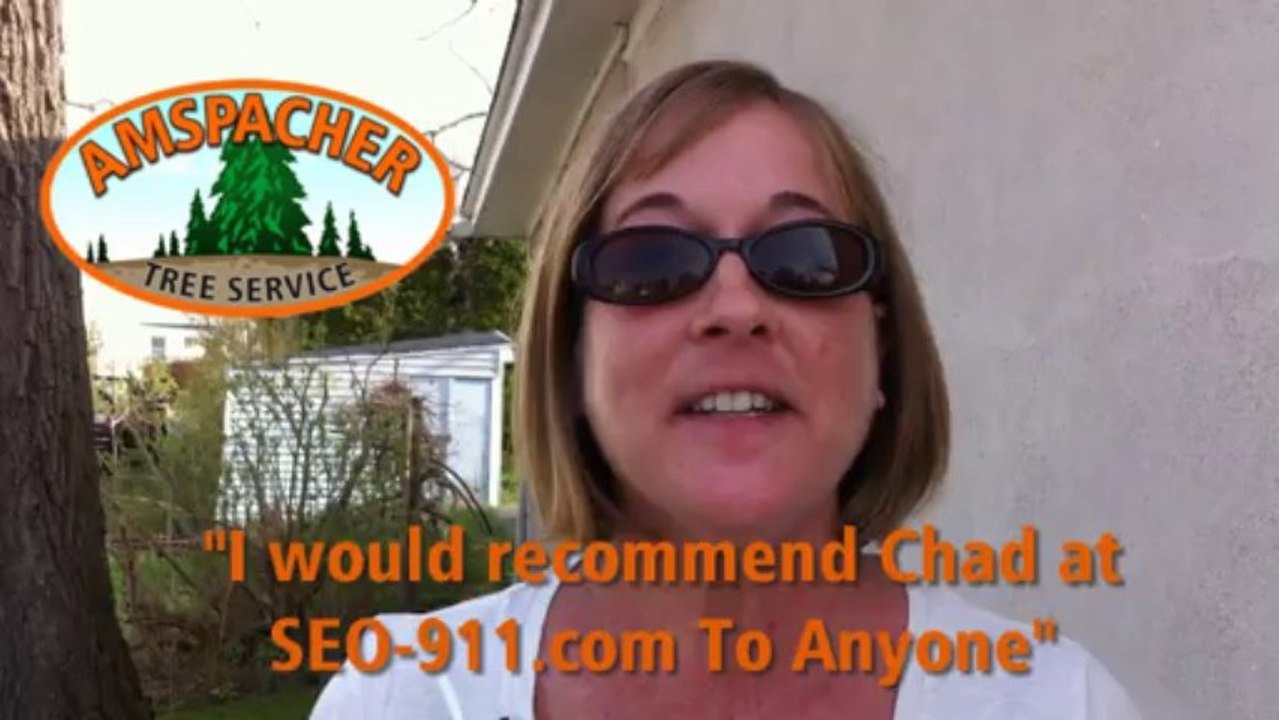 Website Design and Local SEO for Amspacher Tree Service In York PA