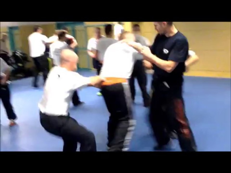 Krav Maga compilation 2012