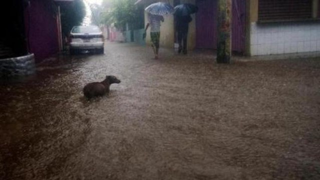 Death toll rises due to Mexico storms