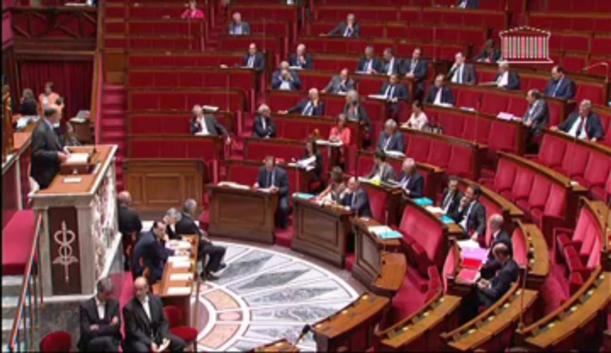 Assemblée Nationale - Intervention de Pierre Moscovici sur la "loi Florange"