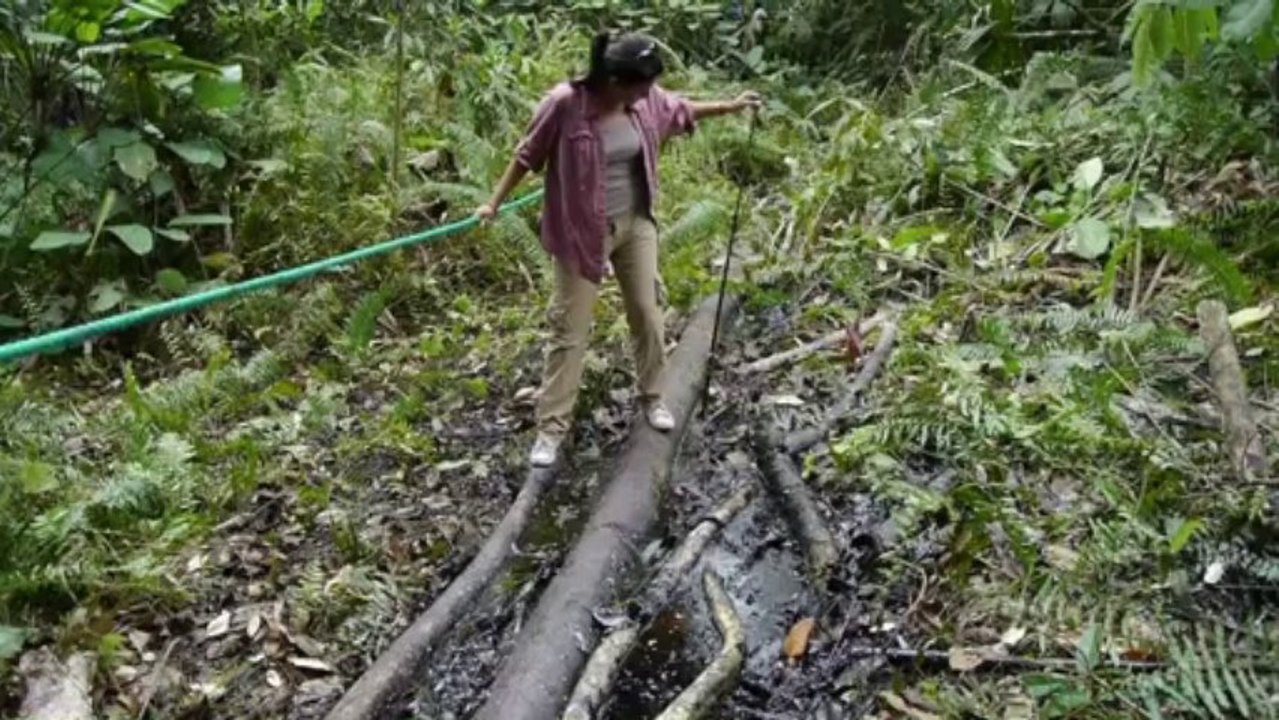 Correa pide boicotear a Chevron