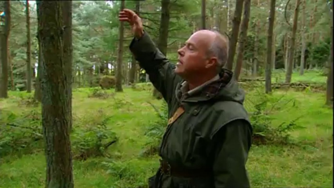 Kampf der Dinosaurier Teil 2