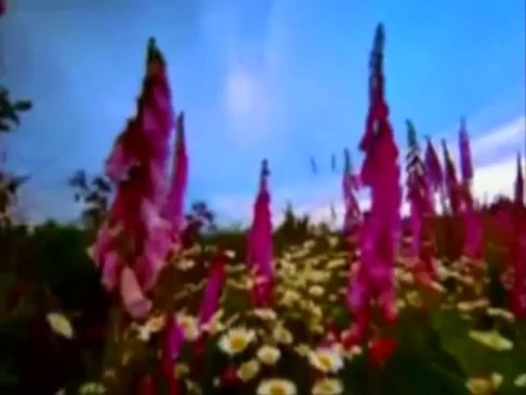 Kabirden Mektup Var İmam-ı Gazali - ilahi.wordpress.com