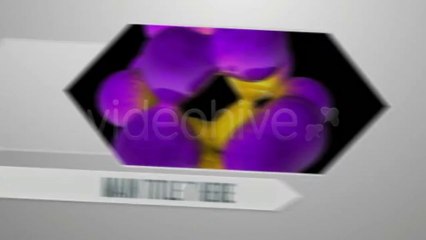 Arrow Direction Presentation - After Effects Template