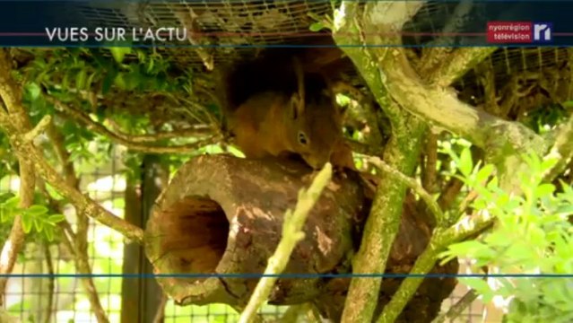 Vues sur l'actu du 18 septembre 2013