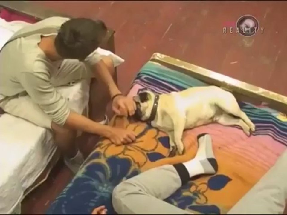 Nečije sam i ja dete, Dodir neba ♥ Dani i Joka ♥