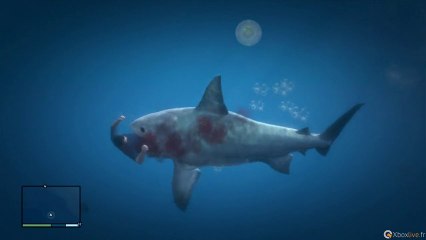 GTA 5 - Succès Hors de la Zone de Baignade