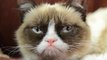 Grumpy Cat Gets Friskies Endorsement Deal