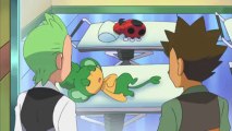 Pokémon X (3DS) - Pokémon XY : The Animation