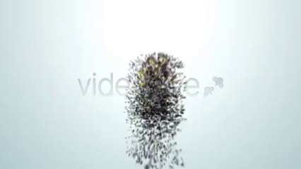 Creation. - After Effects Template