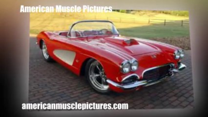 American Muscle Pictures