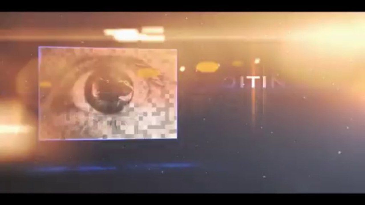 Xion - After Effects Template