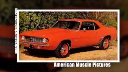 American Muscle Pictures