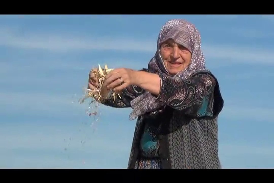 16 Eylül 2013