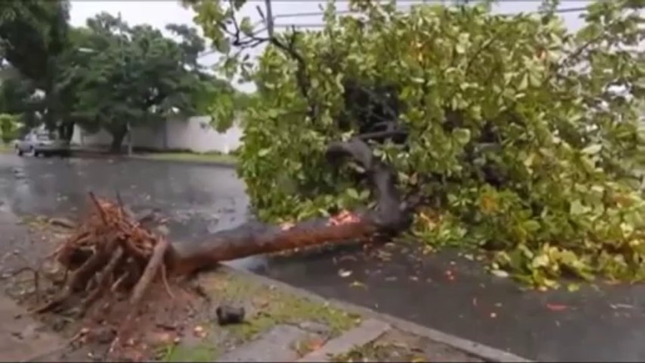 Ouragans et pillages à Acapulco au Mexique 1