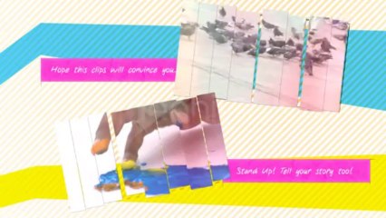 Color Presentation Project - After Effects Template