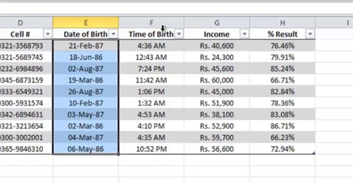 MS-Excel-01 Excel Formats (Level: Basic) Urdu