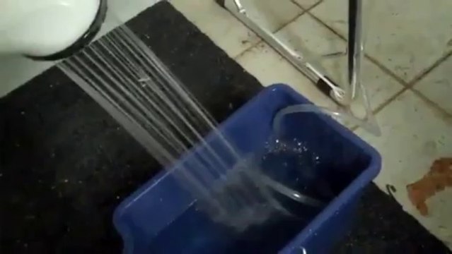 Protable Tankless Eccotemp L5 Water Heater