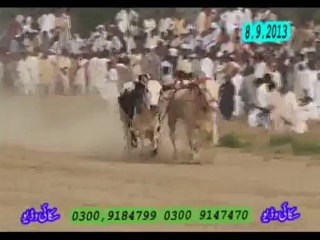 BAAL DHOR IN KHARPA IN 08-09-2013 BY BHAWAL DIN AWAN KHARPA