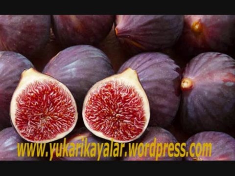 Tin Suresi - Tefsir Dersleri - Mahmut Toptaş Hoca