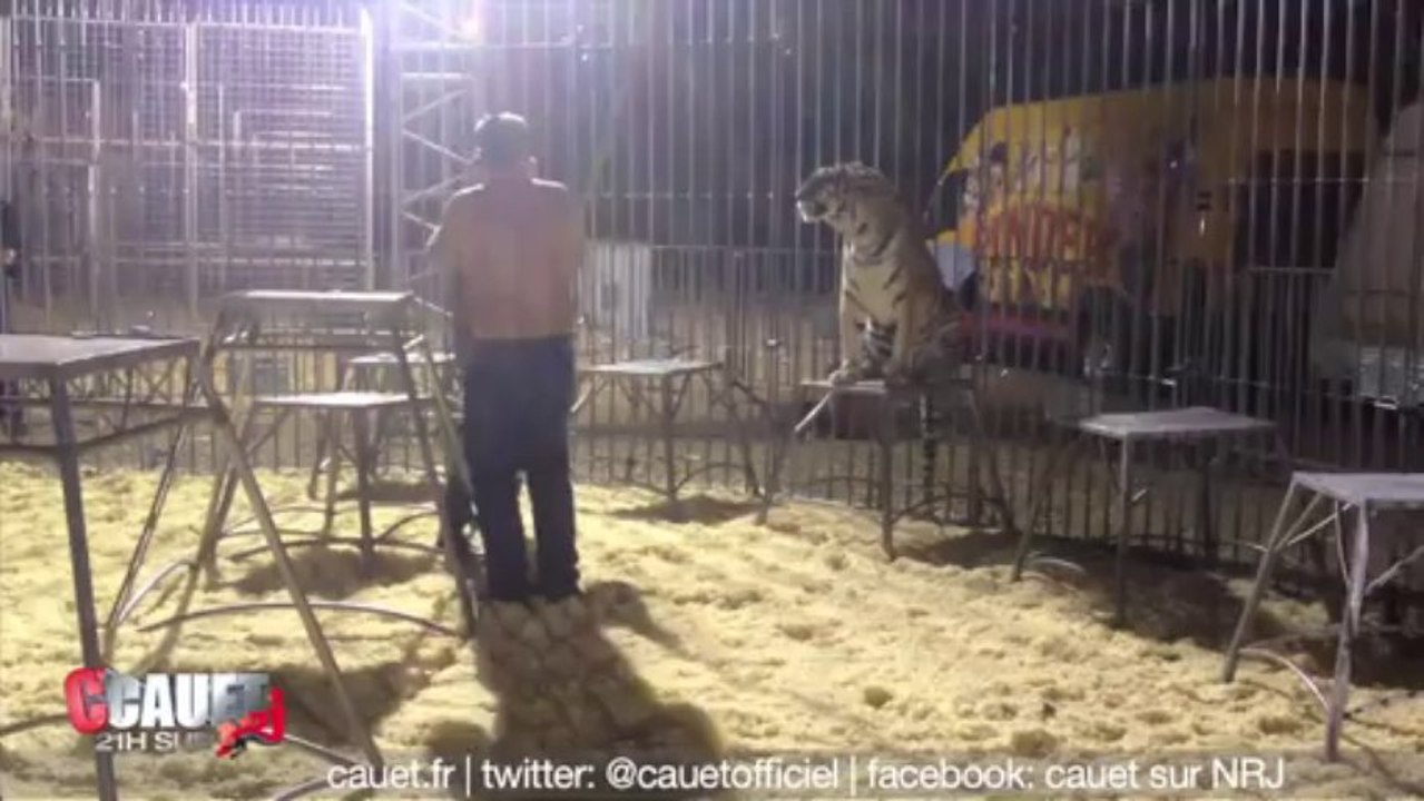 Jeff devient la proie des tigres de chez PINDER - C'Cauet sur NRJ