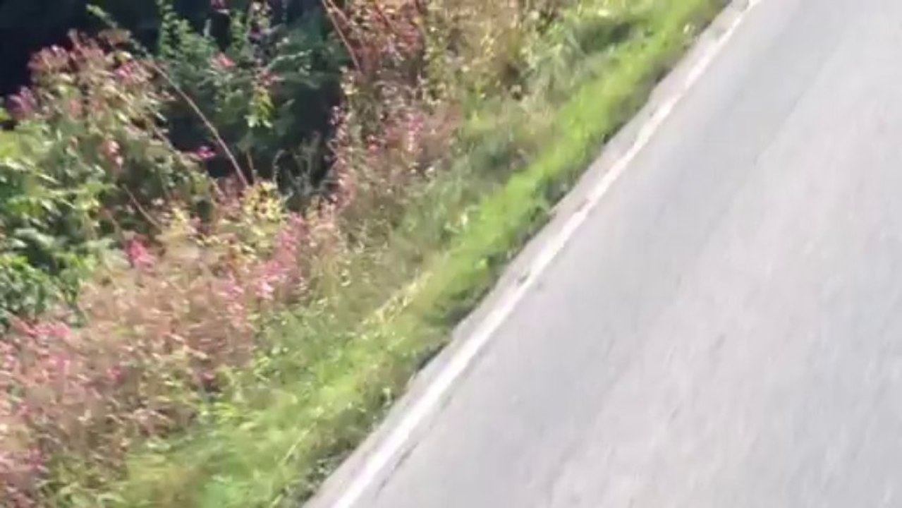 Vespa Gts 'White Lady' -love at first sight