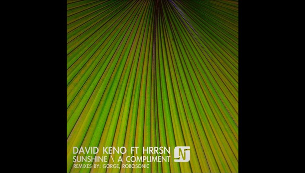 David Keno ft. HRRSN - Sunshine (Robosonic vocal mix)