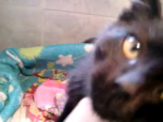 video-2013-09-23-11-25-49