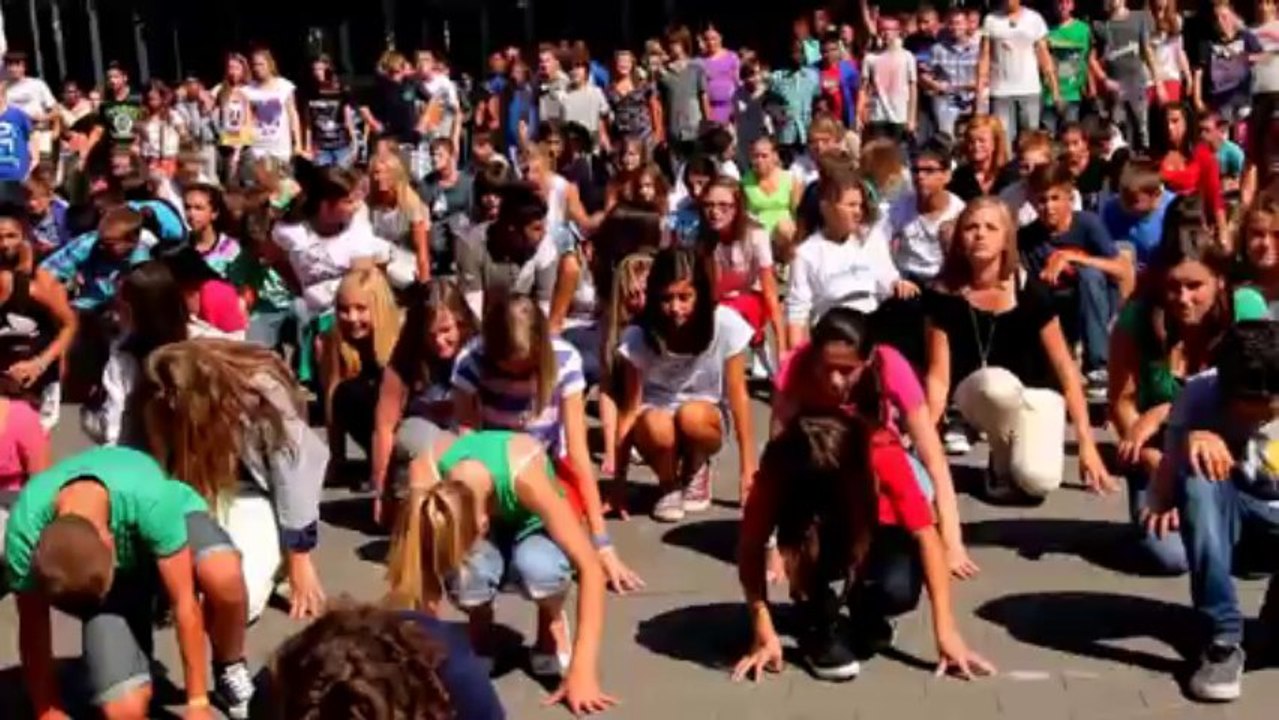 FLASH MOB ARChene 2013