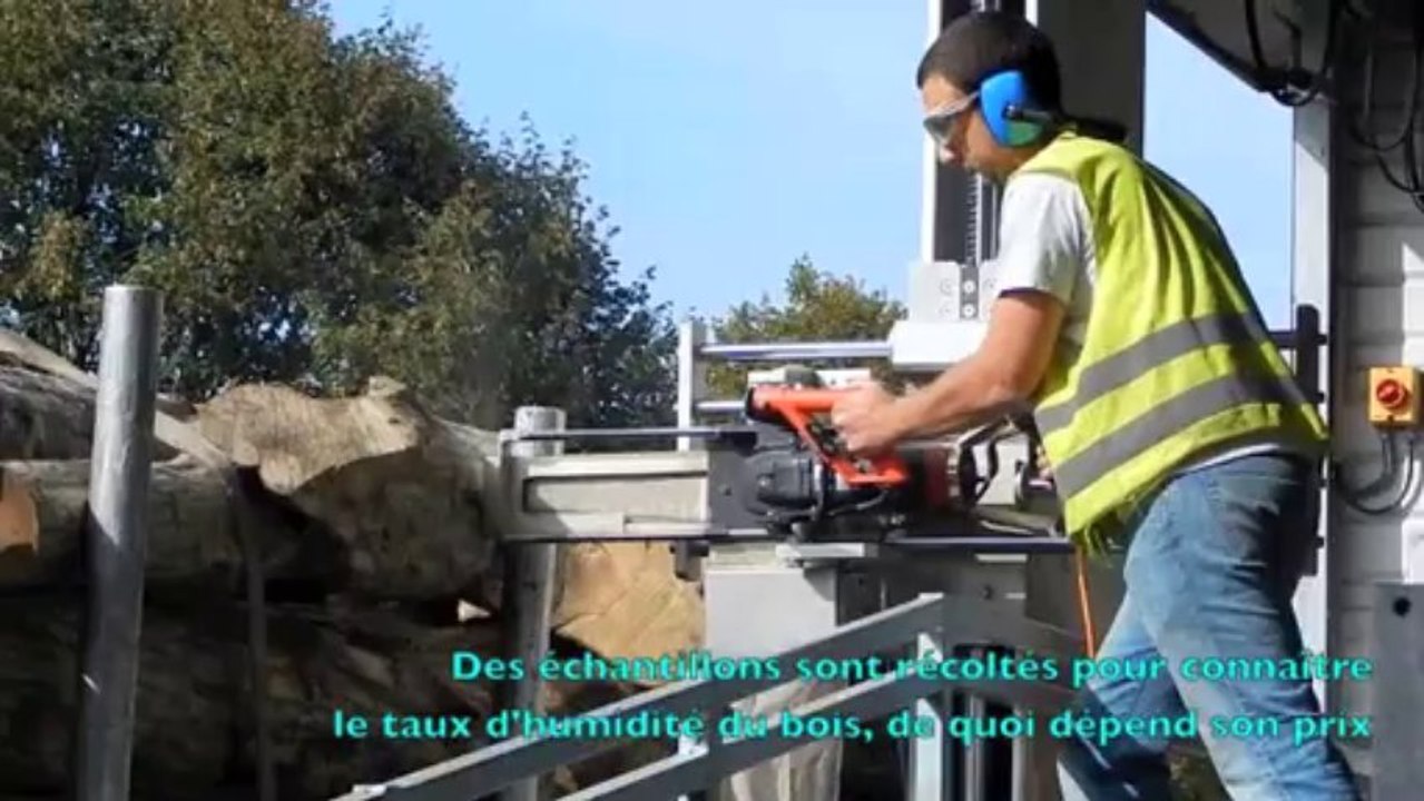 Nesle : le parcours du bois chez Kogeban