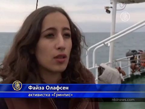 Активистов «Гринпис» задержали в Арктике
