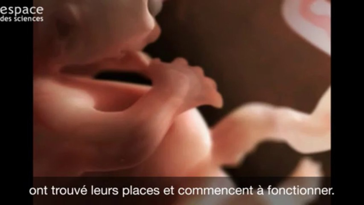 L'Odyssée de la Vie