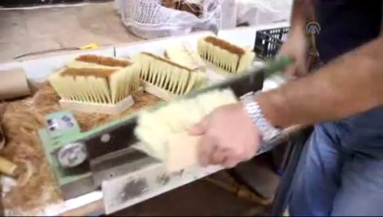 Filistinli görme engellilerin mücadelesi