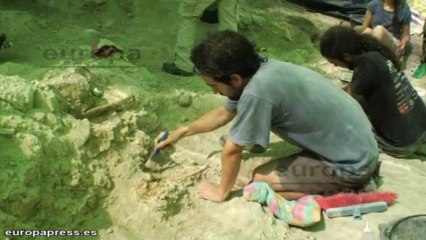 Hallan el hueso de pene de oso más antiguo del mundo