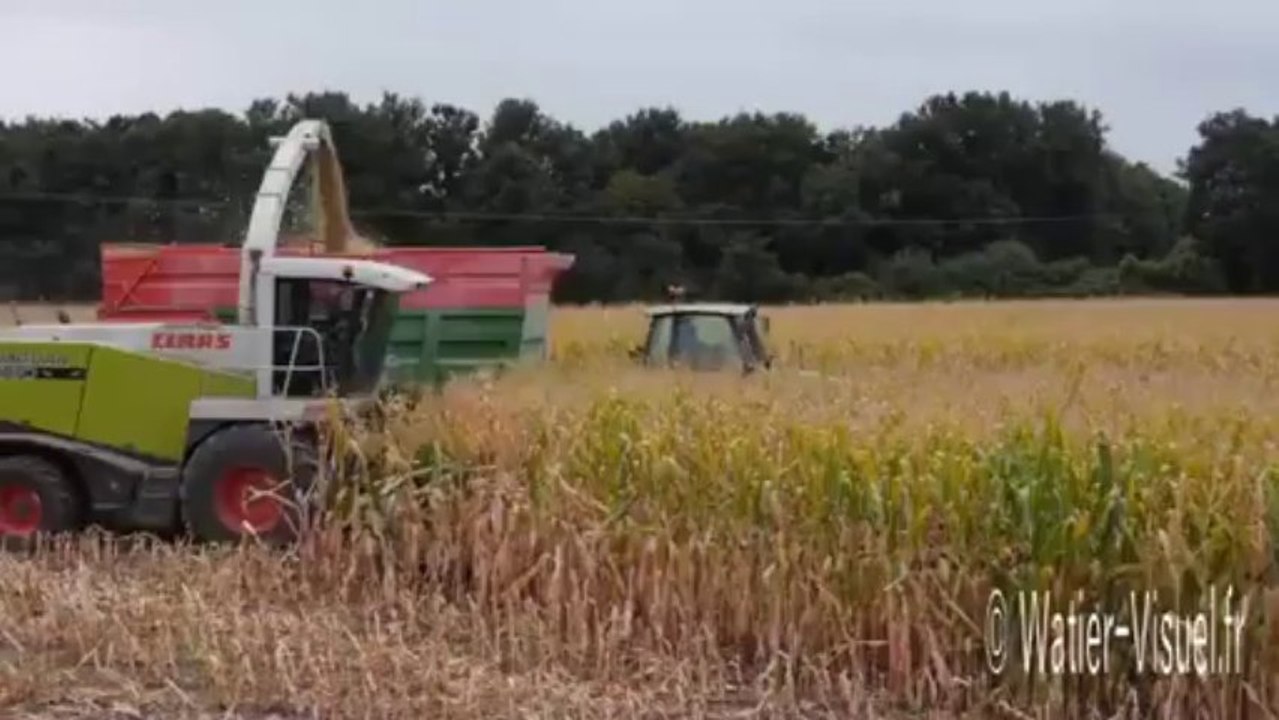 Chantier d’ensilage - Ne pas subir le débit de chantier de l’ensileuse pour faire un silo de qualité