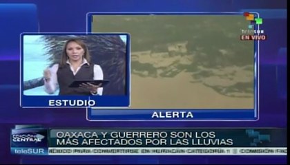 Autoridades mexicanas actuaron con negligencia: experto