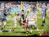 Live Bing Rugby Sharks vs London Wasps