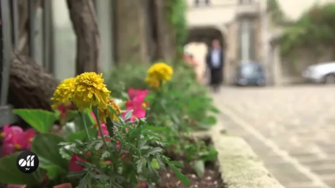 Jay-Jay Johanson se balade à Paris dans ses lieux préférés
