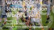 Live Streaming Sharks vs London Wasps Rugby