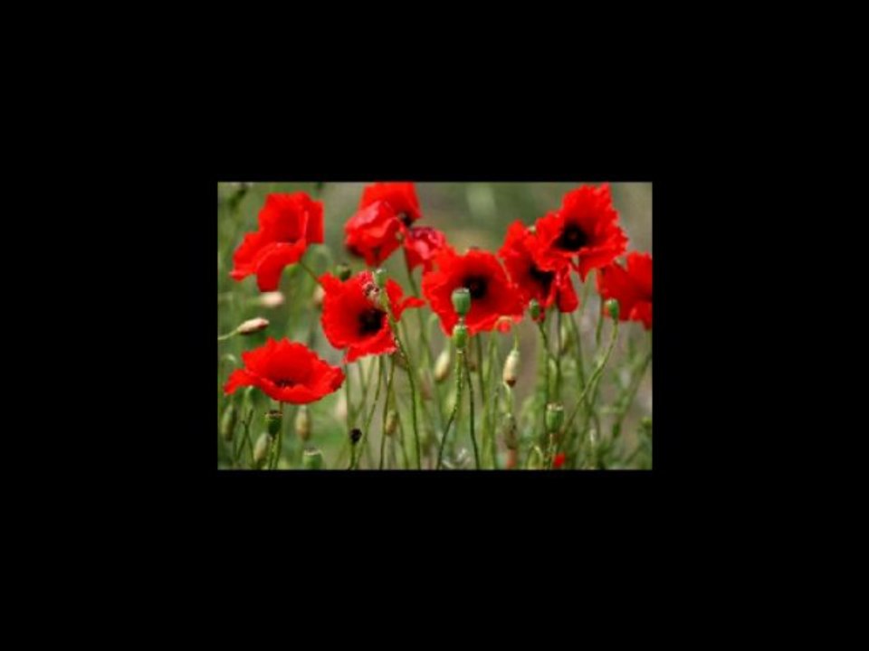 je n'oublierai jamais ton amour