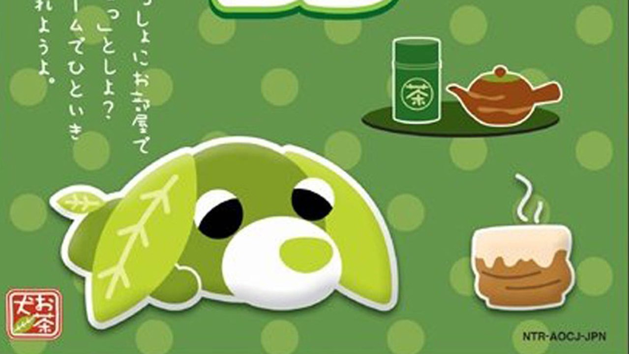 CGR Undertow - OCHA-KEN NO HEYA DS review for Nintendo DS