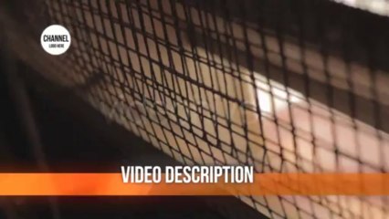 Generic TV Identity Set - After Effects Template