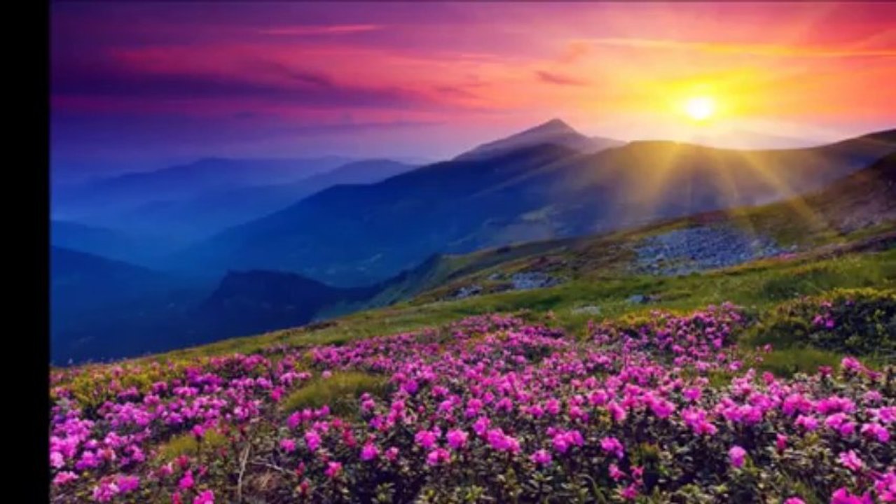 BİR BAŞKA EDA BAŞKA BİR ARZU İLE GELDİN