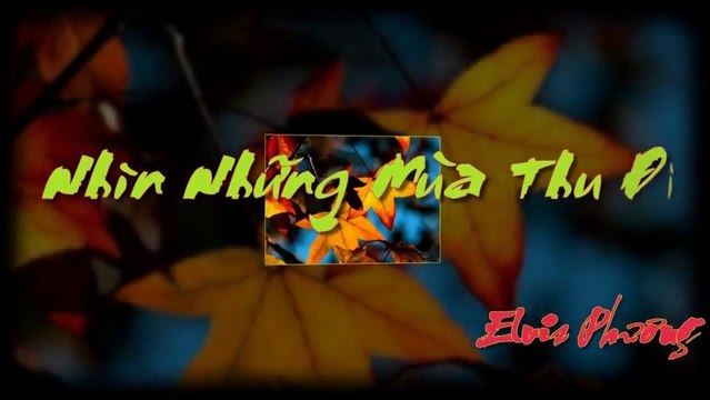 Nhìn Những Mùa Thu Đi ♥ Elvis Phương (PP720p)